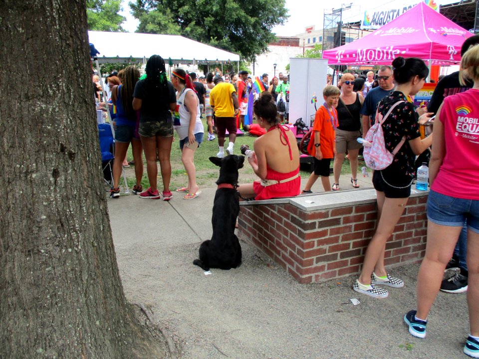 pride festival augusta,ga 2019
