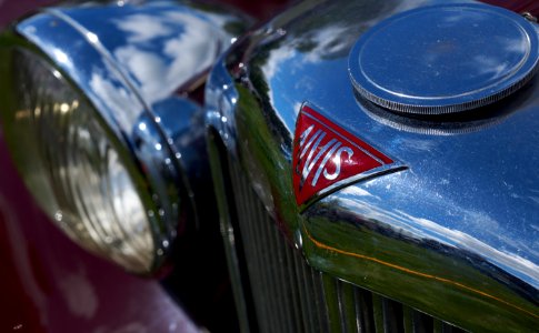 Alvis badge photo