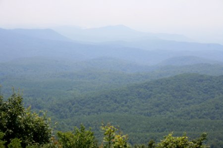 IMG 0655