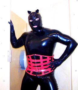 Black and Red Latex Cat