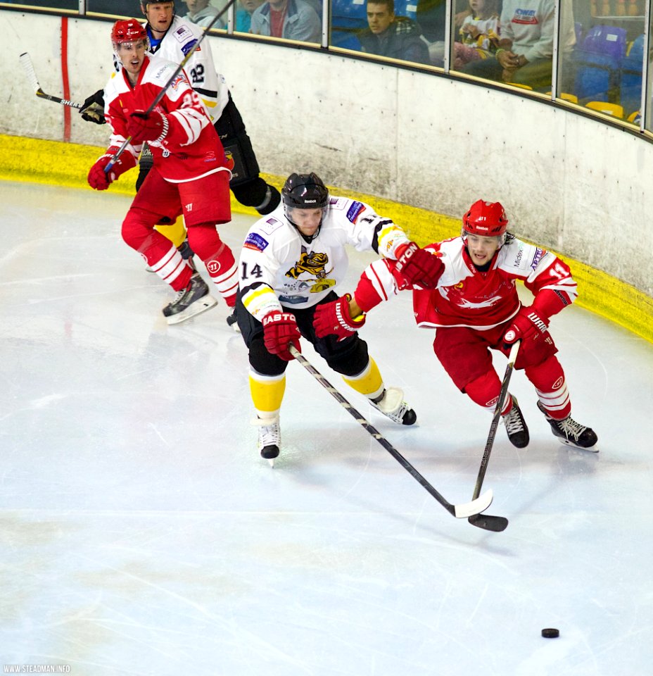Bracknell Bees Vs Swindon Wildcats