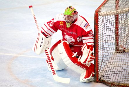 Bracknell Bees Vs Swindon Wildcats