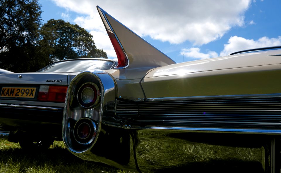 1960 Cadillac Series 62, 1981 Morris Ital