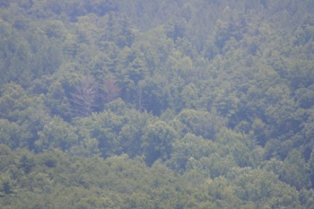 IMG 0663