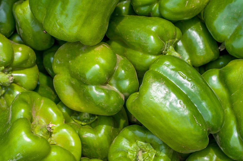 Background capsicum food