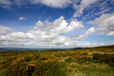 Hay Bluff Landscape
