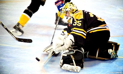 Ice Hockey - Bracknell Bees Vs Chelmsford Chieftains