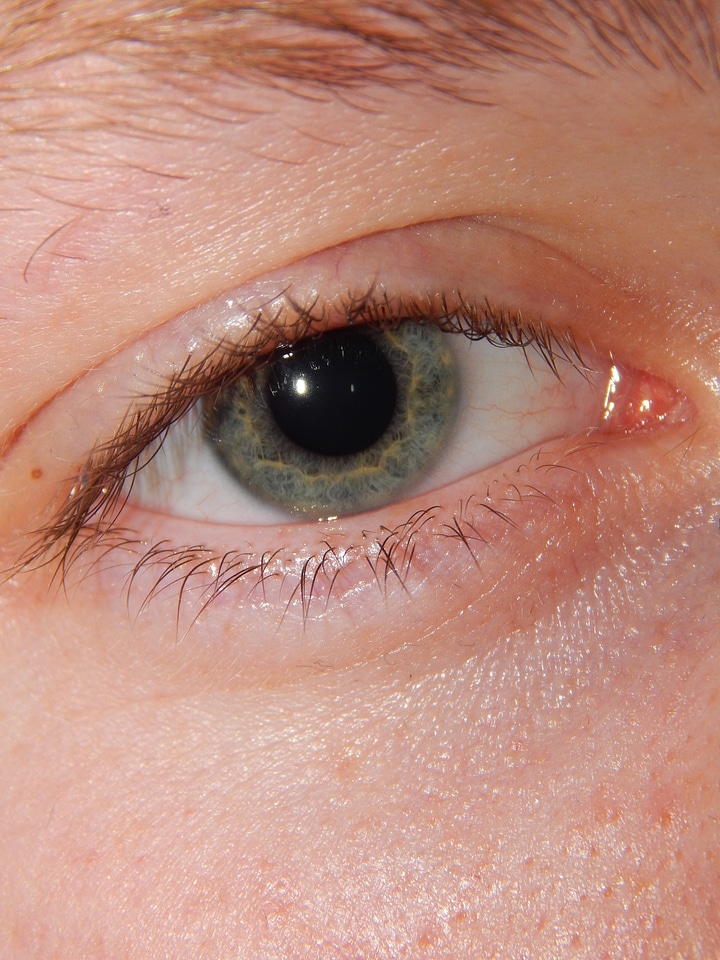 Lukáš macro photo