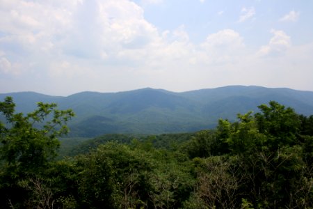 IMG 0651
