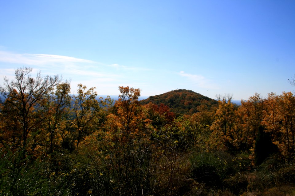 IMG 0786
