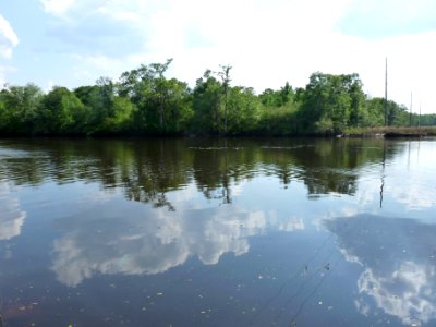 P1000256