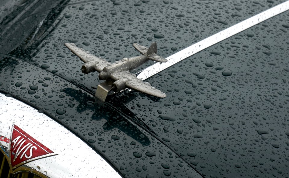 Alvis plane mascot