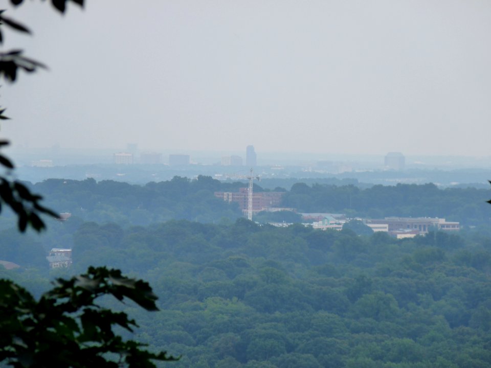 P1000428