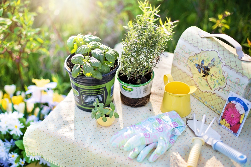 Summer gardening garden tools