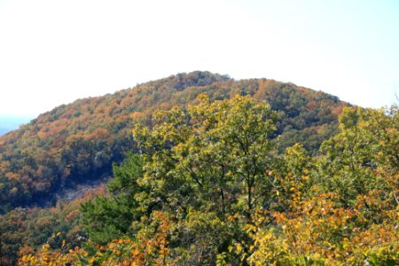 IMG 0804