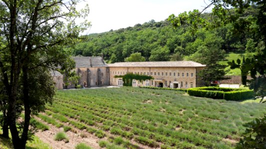 Abbaye de Senanque photo