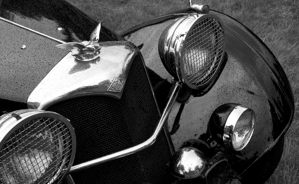 1935 Riley 22T Kestrel, grille
