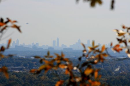 IMG 0742
