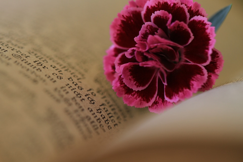 Book antiquarian christianity