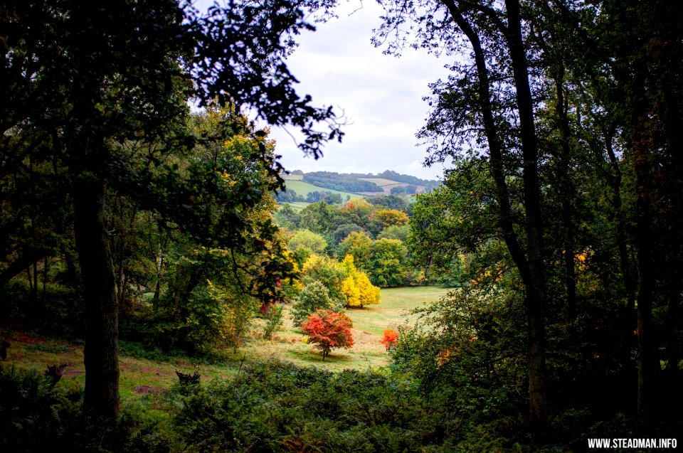 Winkworth Arboretum