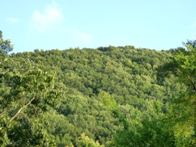 P1000518