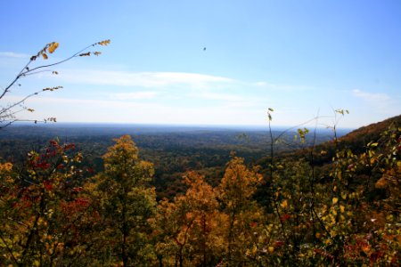 IMG 0798