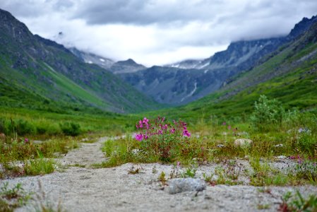 Hatcher Pass 06 photo