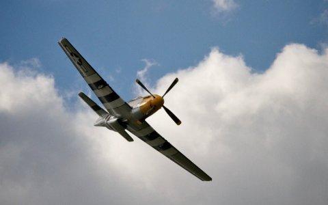 Dunsfold Wings And Wheels - Mustang