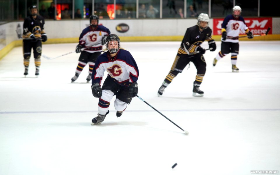 Ice Hockey - Guildford Lightning Vs Bracknell Queen Bees