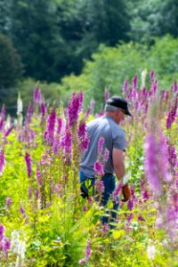 2019-6 Foxglove Farm-3707
