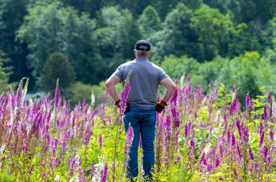 2019-6 Foxglove Farm-3699