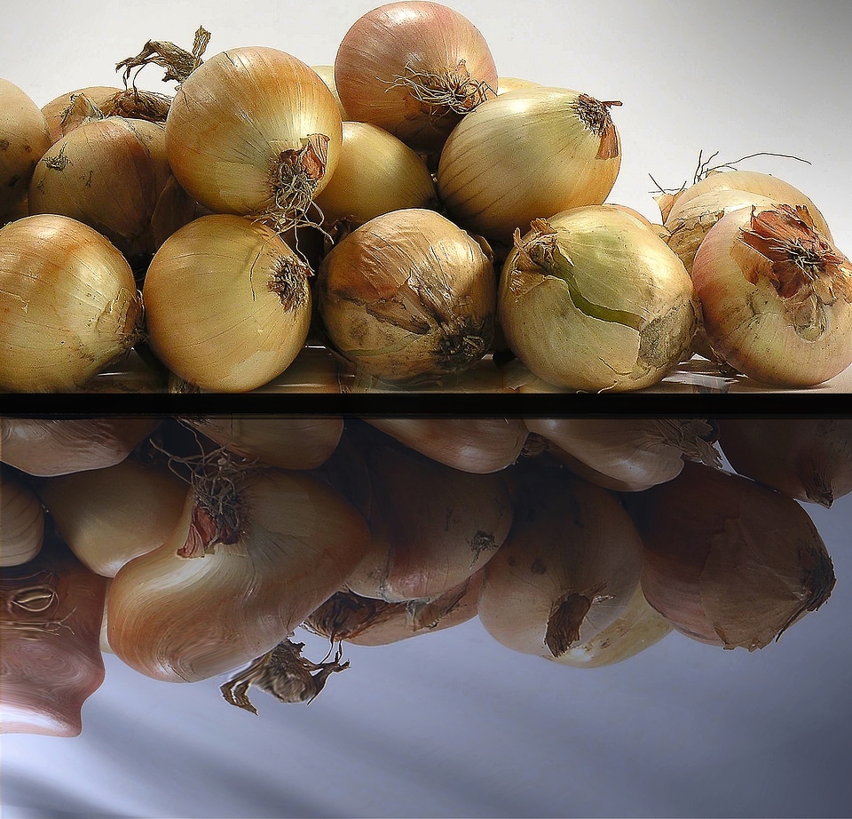 The maturity of the variety pungent odor
