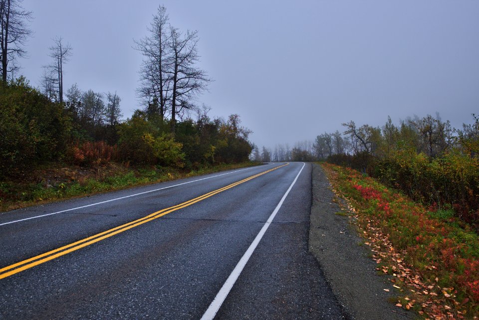 The lonely road