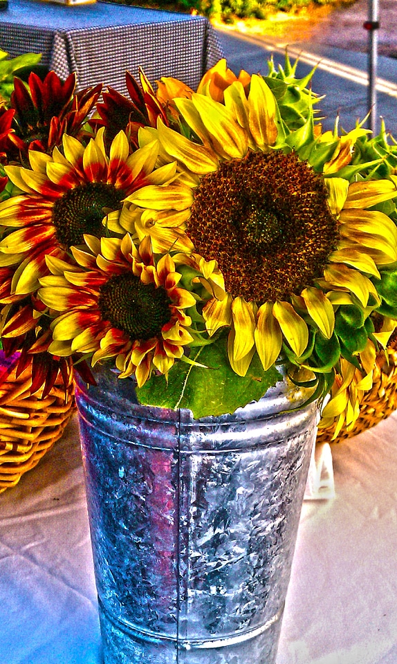 Yellow floral sun