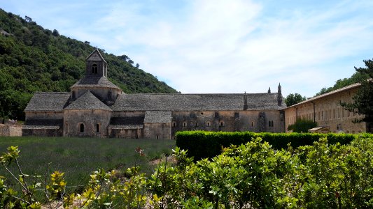 Abbaye de Senanque photo