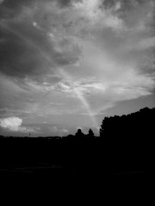 rainbow-bw