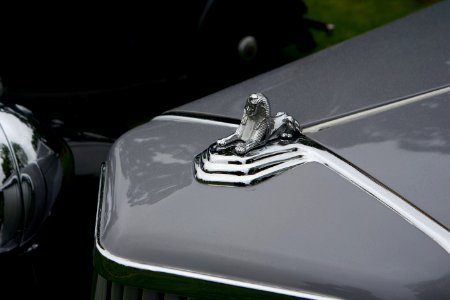 1935 Armstrong-Siddeley 14hp Sports Foursome sphinx