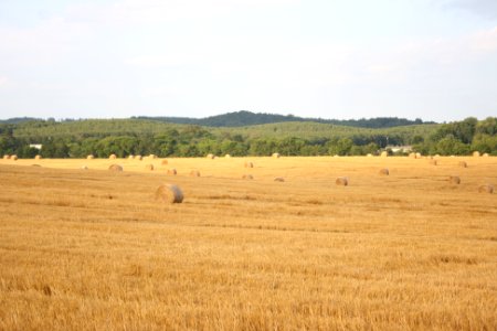 IMG 0536