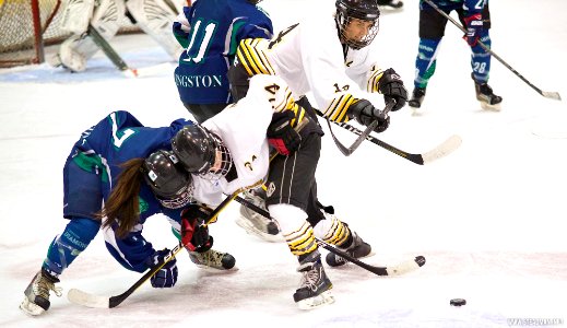 EIHA Trophy Weekend Final - Queen Bees Vs Diamonds