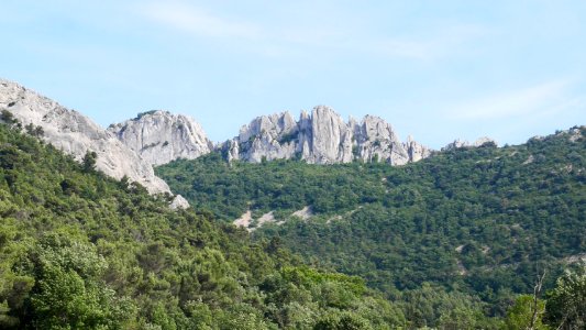 Dentelles de Montmirail photo