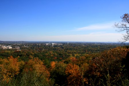 IMG 0812