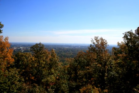 IMG 0753