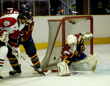 Guildford Flames At Basingstoke Bison
