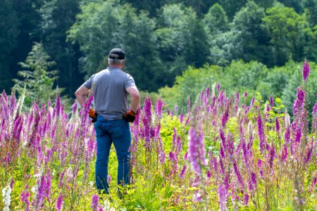 2019-6 Foxglove Farm-3703