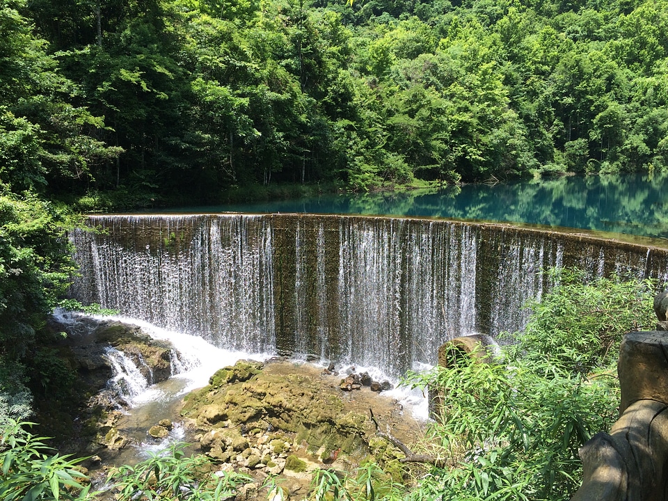 Falls woods nature