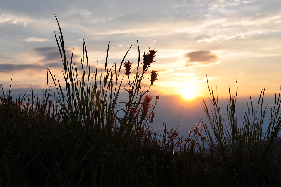 Scenic landscape dusk