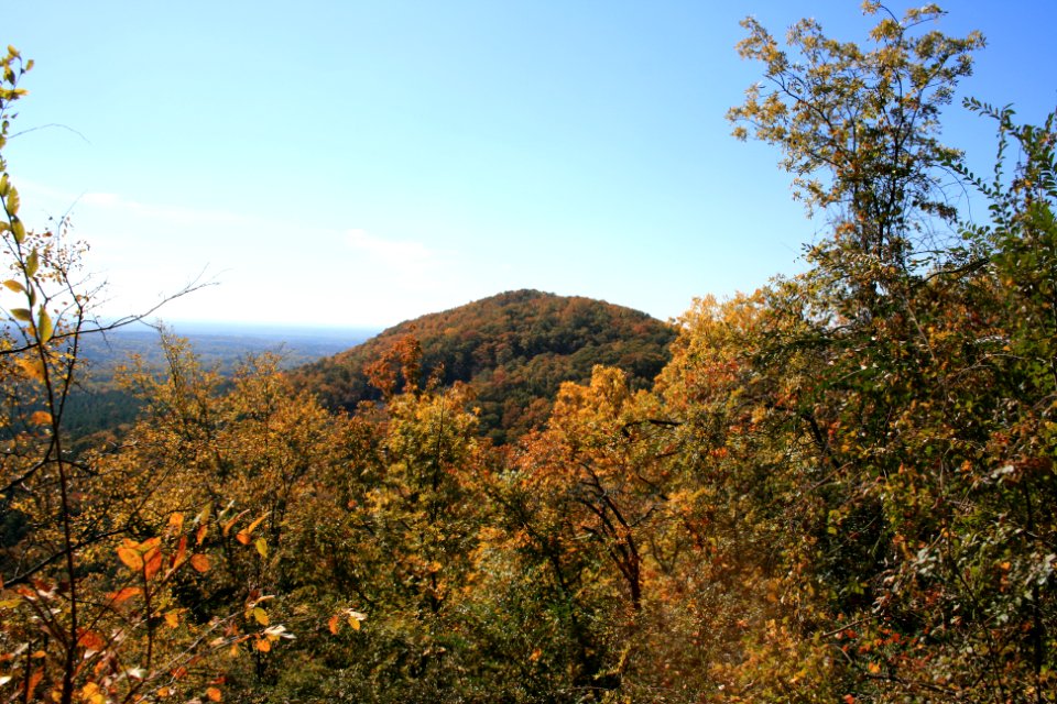 IMG 0801