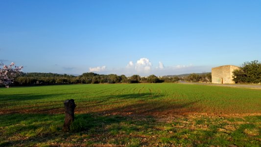 Sant Vicenç de Calders -2