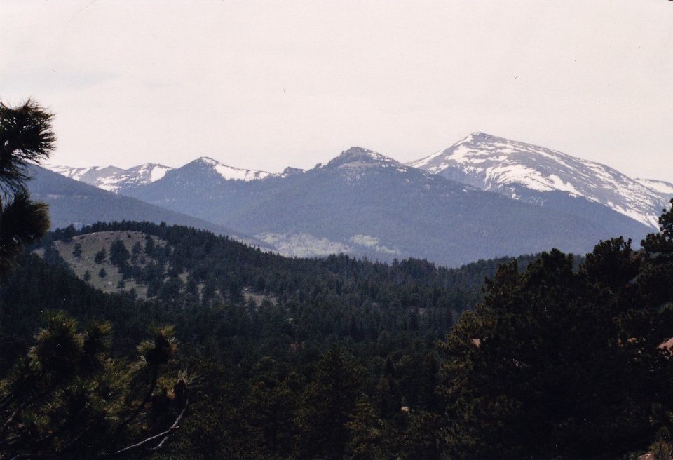 Submitted by Sue Sheppard