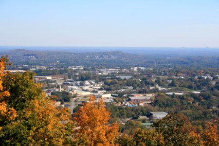 IMG 0768